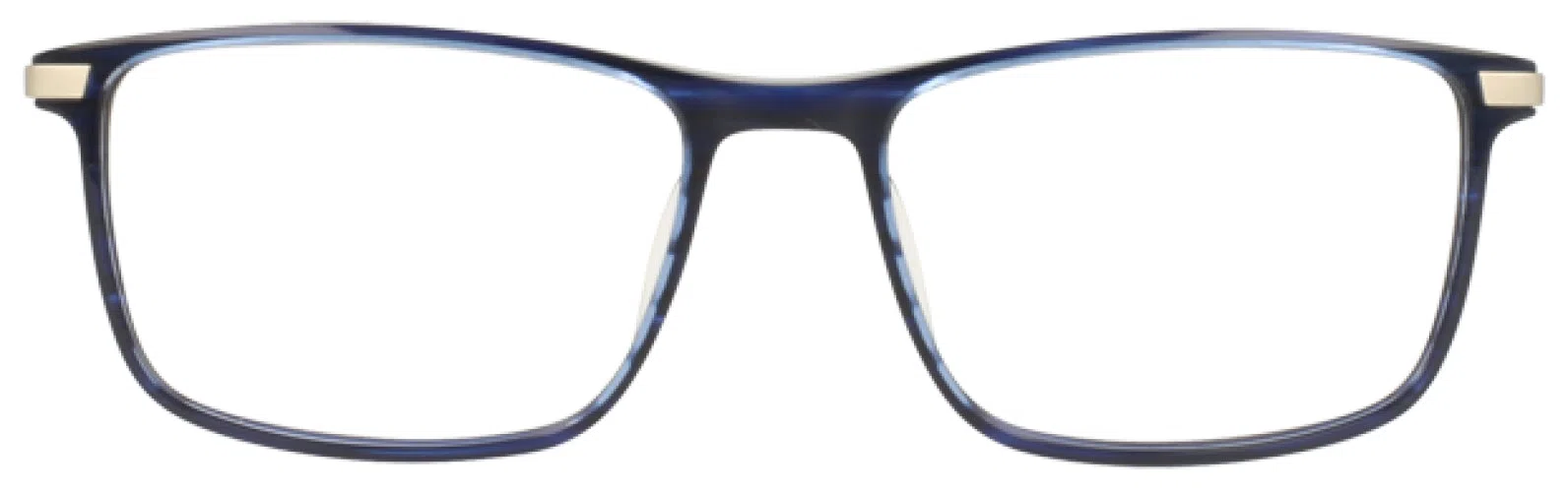 Argyleculture ARFORREST Eyeglasses - view 8